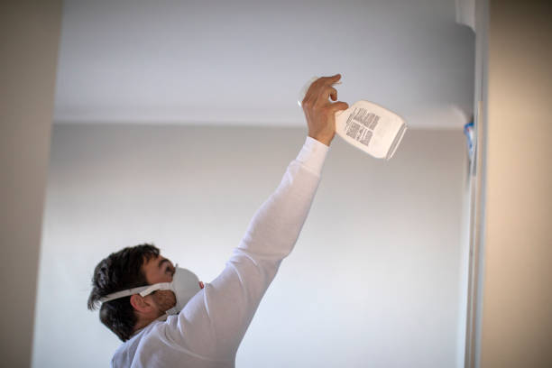 Certified Mold Removal in Orangeville, UT