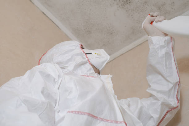 Best Emergency Mold Removal  in Orangeville, UT