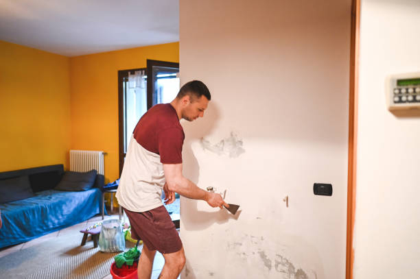 Best Mold Cleaning Services  in Orangeville, UT