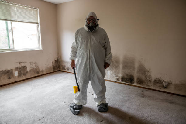 Best Professional Mold Removal  in Orangeville, UT